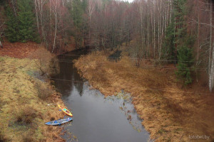 Река Шоша