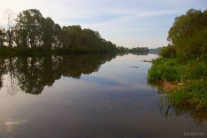 Река Сож