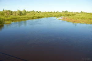 река Ствига