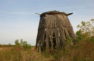 Роги Славгородский район