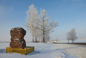 Зелёная Толочинский район