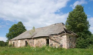 Лесино Толочинский район