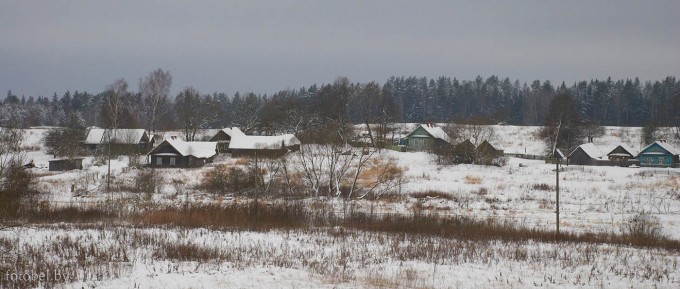 Сани Толочинский район