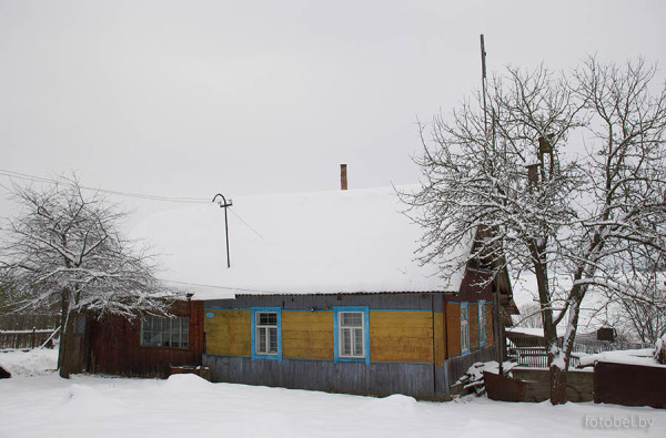 дом Савицкого