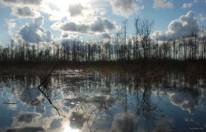 Сплав по Дубовке