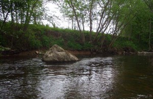 Река Зароновка