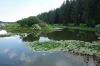 Водохранилище Дички