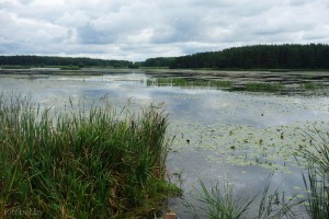 Рачунское водохранилище