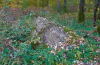 Вишнево усадьба Хрептовичей