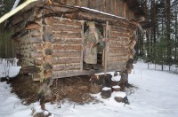 Болотник Березинского заповедника