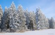 Зима в Беларуси