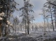 Белорусская зима