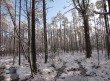 Белорусская зима