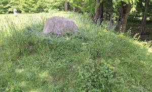 Богушевичи городище