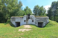 Гершоны форт 5