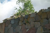 Береспонье