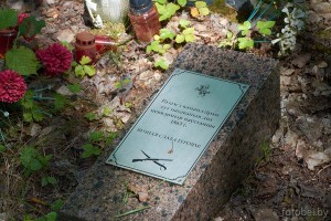 могила Генриха Дмоховского