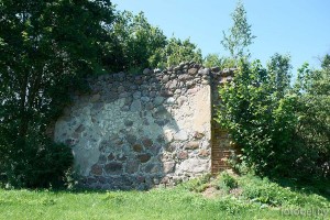 Тенюковщина