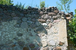 Тенюковщина