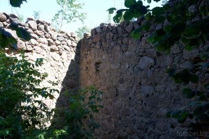 Тенюковщина