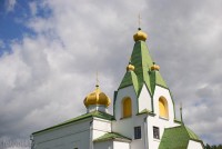 Дольная Рута