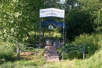 Новосёлковская криница. 2025 г. Новосёлковская криница