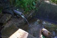 Новосёлковская криница. 2025 г. Новосёлковский родник