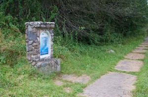 Родник Гомельский. 2025 г. родник Гомельский