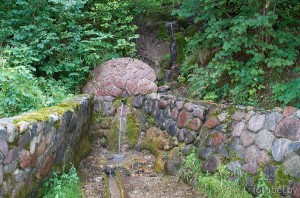 Родник Гомельский. 2025 г. родник Гомельский