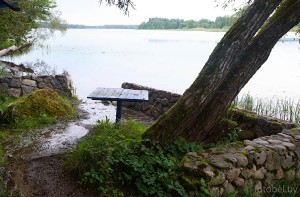 Родник Гомельский. 2025 г. родник Гомельский