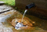 Родник Маккавеев. 2025 г. Родник Вселюб