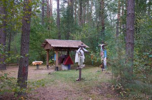 родник Святой колодец