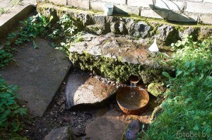 Родник Святой Ян