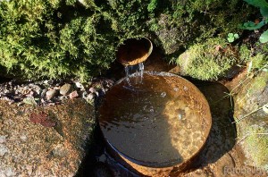 Родник Святой Ян