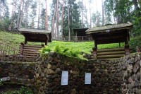 источники 5 и 6