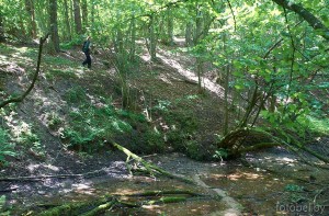 Судницкие родники