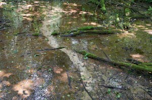 Судницкие криницы