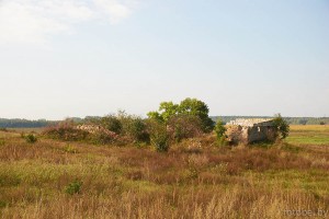 Ковалевичи