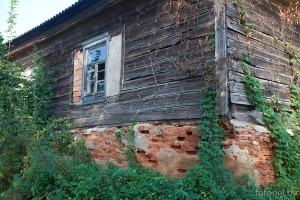 деревня Васильки
