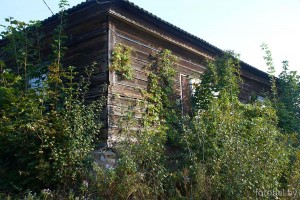 деревня Васильки