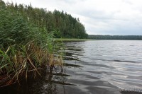 Озеро Церковище Озеро Церковище