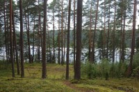 Озеро Должина Озеро Должина