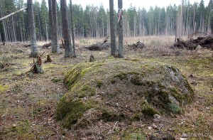 Валун Каменная баба Валун Каменная баба