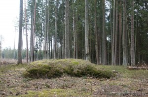 Валун Каменная баба Валун Каменная баба