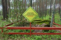 Камень Быки