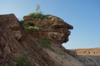 песчаники у деревни Комайск