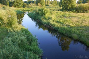 Река Молотовка