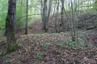 Новое Село городище