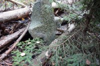 Новое Село городище