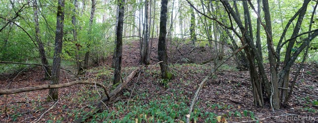 Новое Село городище